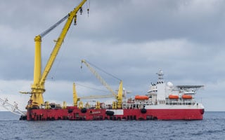 Cranes